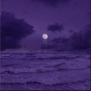 Meet your Posher, Abbygail